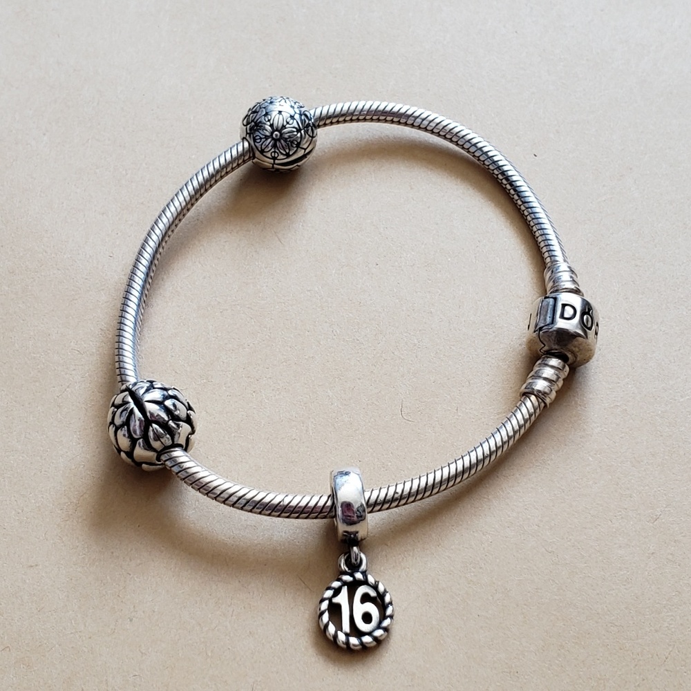 Pandora| 16 Charm